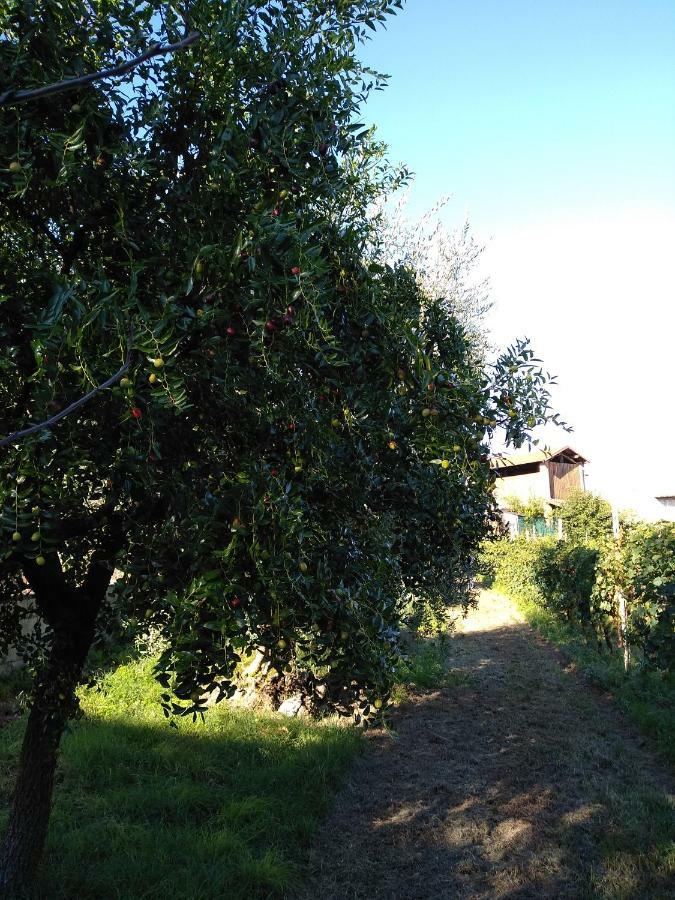"Country House Il Brolo" Polpenazze del Garda Exterior photo